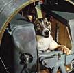 Laika